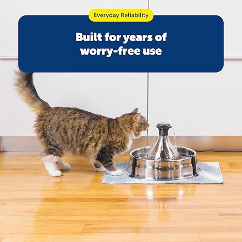 Miniatura 7 de PetSafe Drinkwell 360 Fountain Carbon Filters - Supports Hydration - Coconut Shell Carbon - Clean Water Solution - Fits Drinkwell Stainless