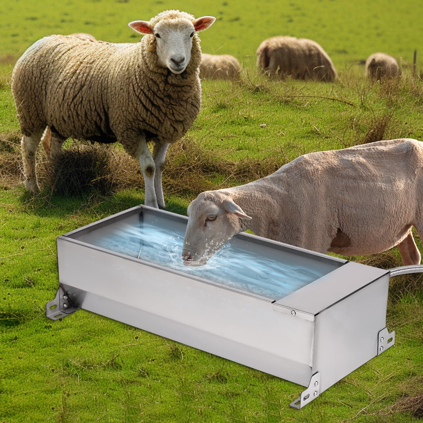 Bebedero Automático Para Caballos , Bebedero de Acero Inoxidable con VáLvula de Flotador Ajustable de 1/2 Pulgada Para Caballos, Vacas, Cerdos, Ovejas, Perros y Bebederos