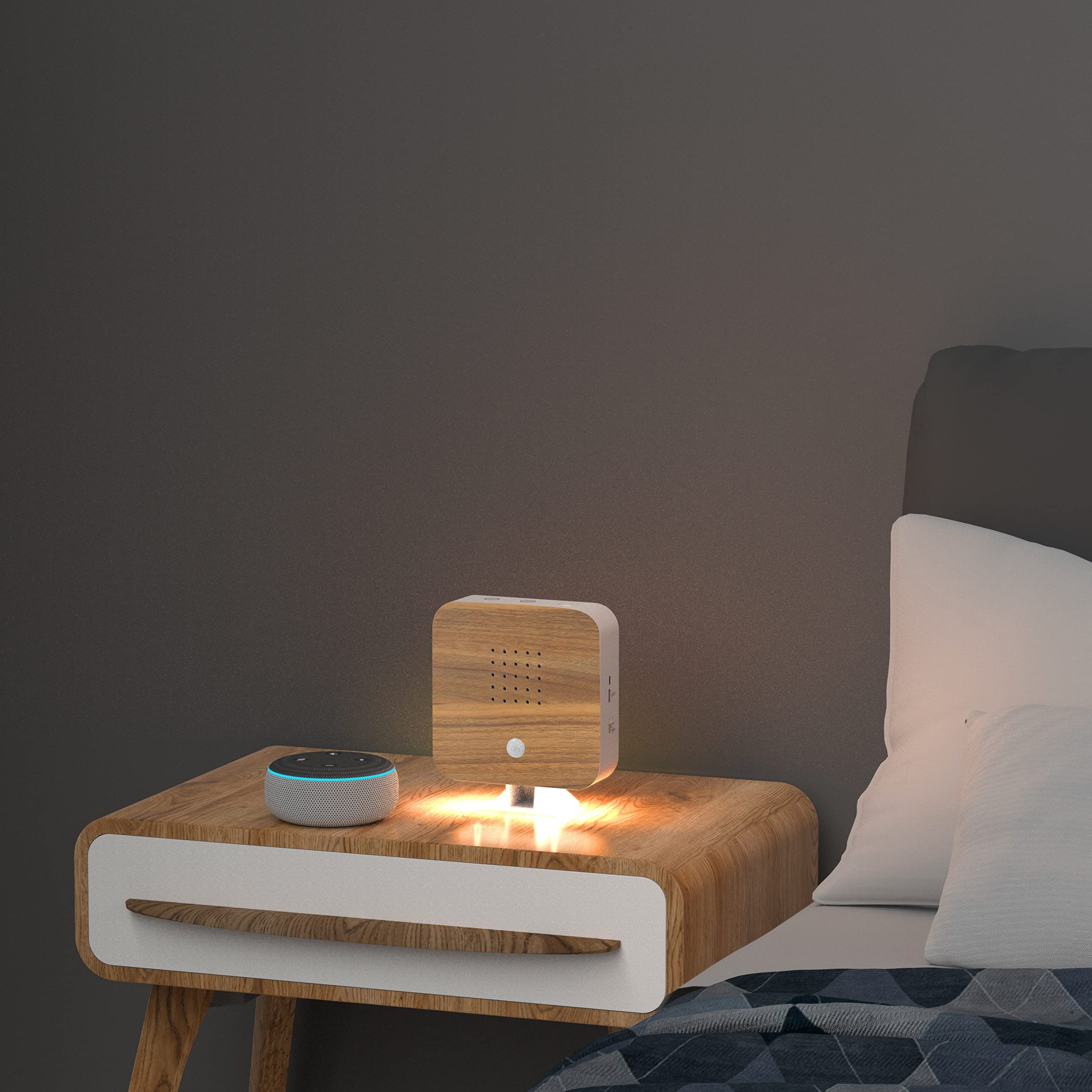 Northpoint Naturaleza Soundbox - Caja de sonido para pájaros, detector de movimiento, luz recargable con soporte de pared, haya cuadrada