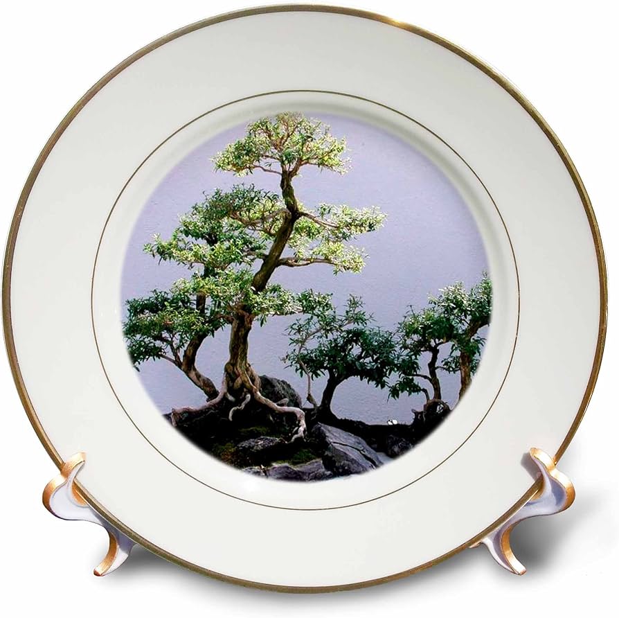 819QS5CNN1L._AC_UF894,