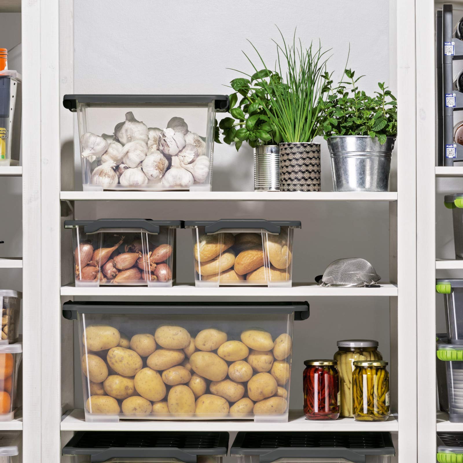 Rotho Evo Safe Keeping Opbergdoos 15l met deksel, voedselveilig plastic (PP) BPA-vrij, antraciet, 15l (39.3 x 28.3 x 23.0 cm Rotho Evo Safe Keeping Opbergdoos 15l met deksel, voedselveilig plastic (PP) BPA-vrij, antraciet, 15l (39.3 x 28.3 x 23.0 cm