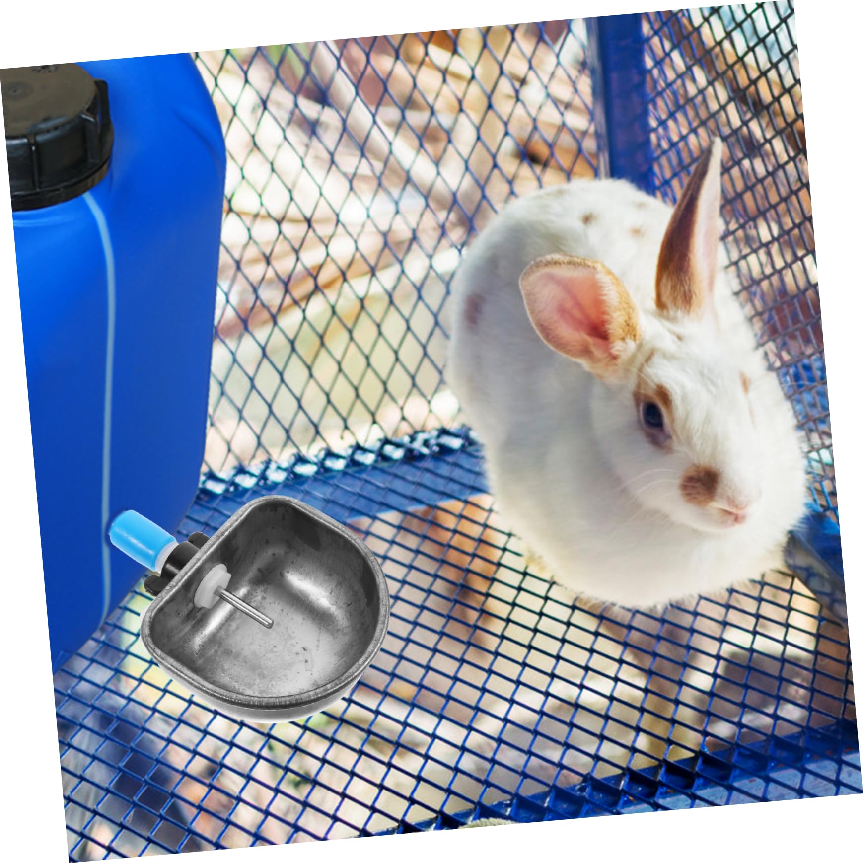 Toddmomy Rabbit Drinking Device 6pcs Metal Bowl Set Auto Water Feeder Bunny Water Feeder