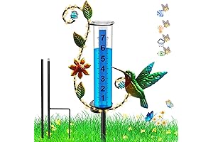 Rain Gauge for Garden, Outdoor, Solar Hummingbird