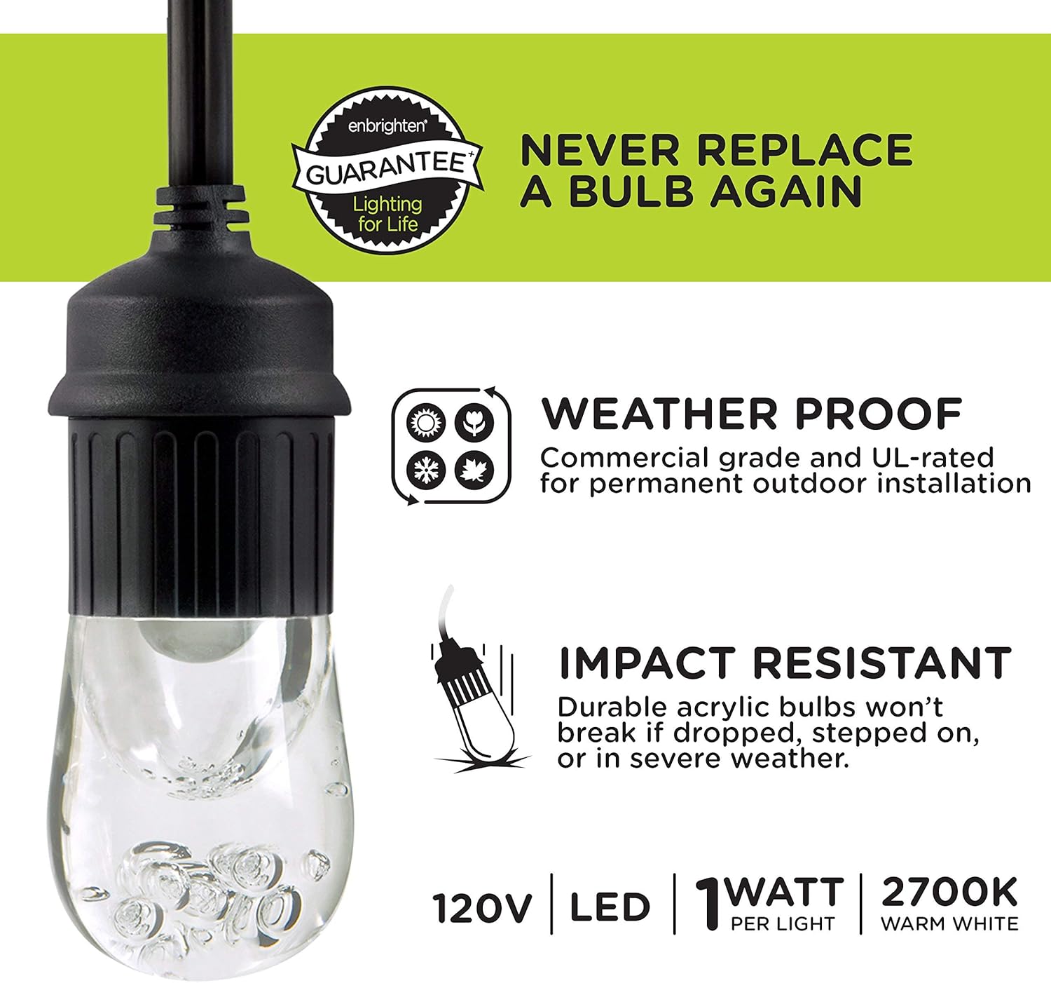 Enbrighten Classic LED Cafe Lights, Outdoor String Lights, Black, 36ft, 18 Impact Resistant Lifetime Bulbs, Premium, Shatterproof, Weatherproof, Indoor/Outdoor, Commercial Grade, 33171 : Everything Else
