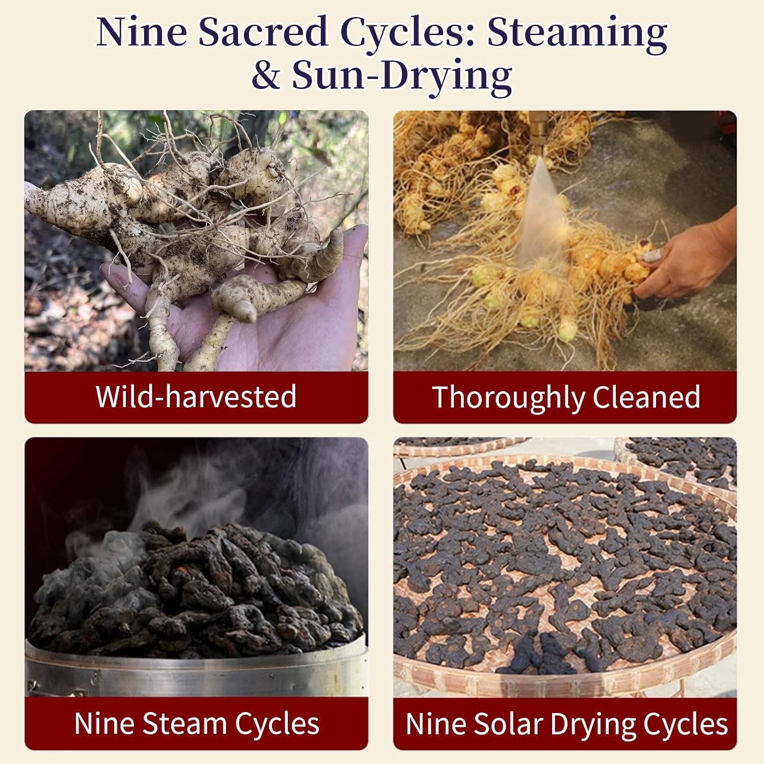 Wanhua Hall Rhizoma Polygonati,HuangJing 8.5oz/240g Chinese Raw Materials Wild Polygonatum Rhizoma Polygonati 黄精 熟地黄 Natural Herbal Tea Caffeine-free - Image 6