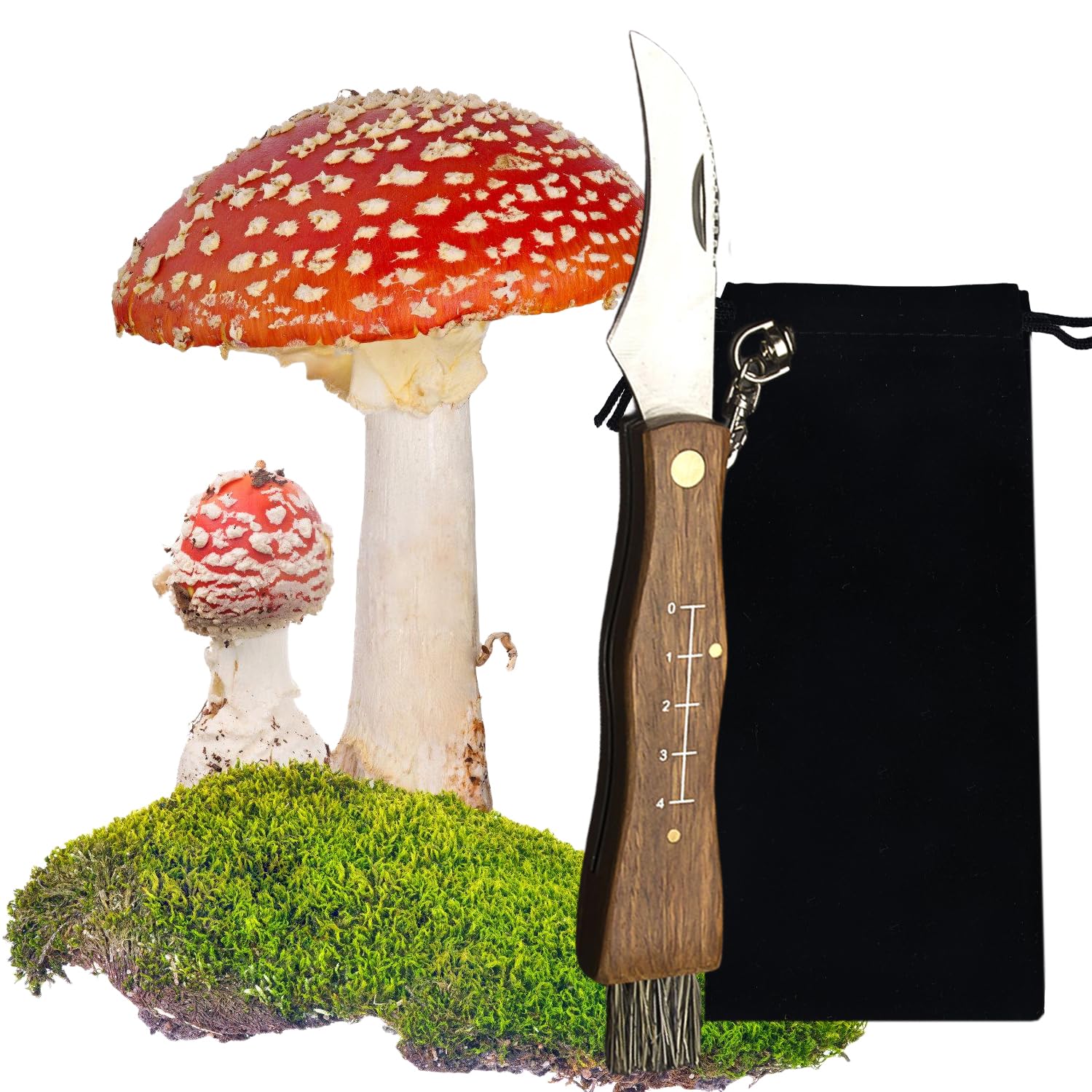 Nizirioo Set Coltello Per Funghi Con Spazzola, Righello E Custodia Da Cintura - Borsa Per Raccolta Funghi, Ideale Per Escursioni E Picnic - 4