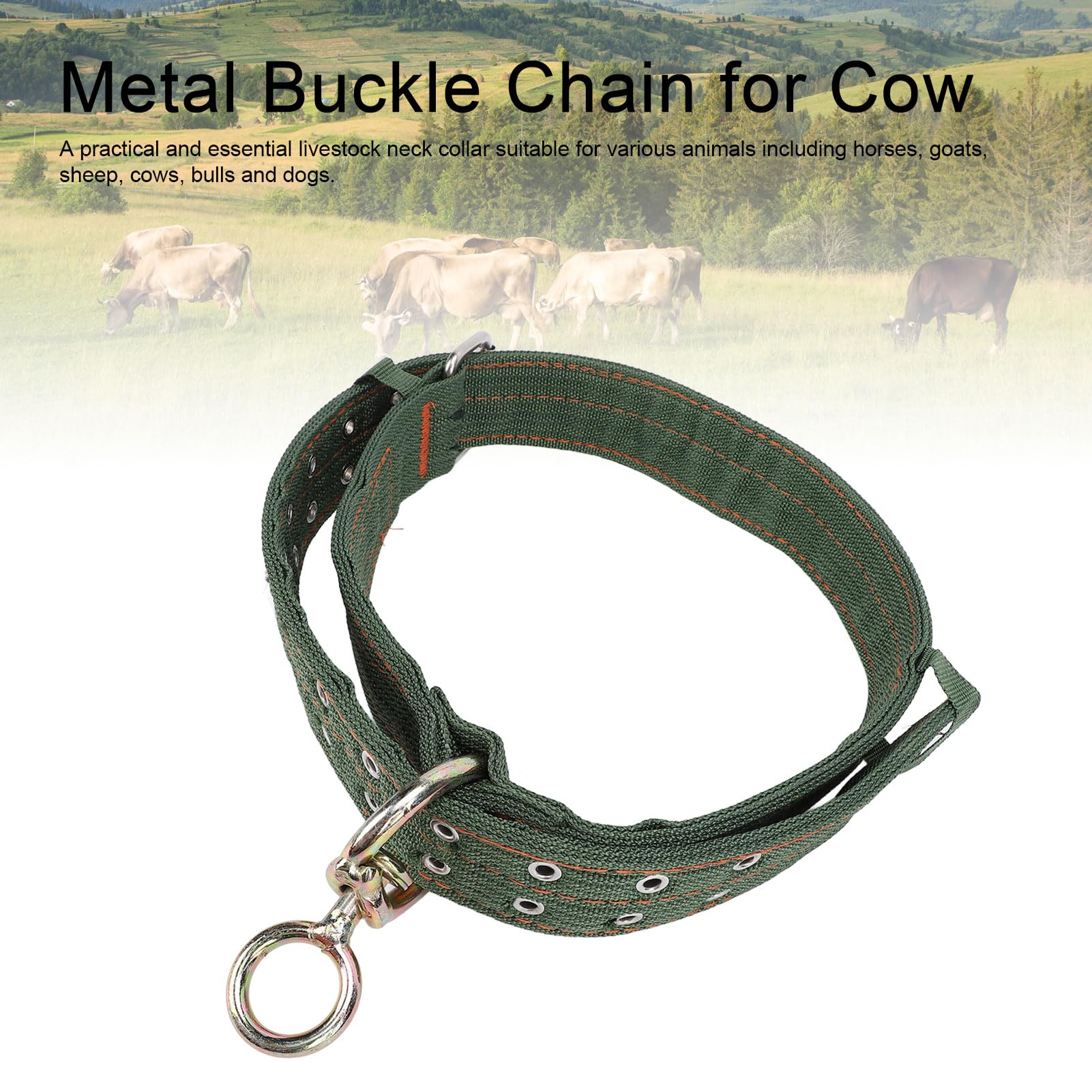 Collier pour bovins en Nylon épais avec Boucle en métal et chaîne de Traction pour Chevaux, Chiens et Animaux de Ferme (Taille Moyenne)
