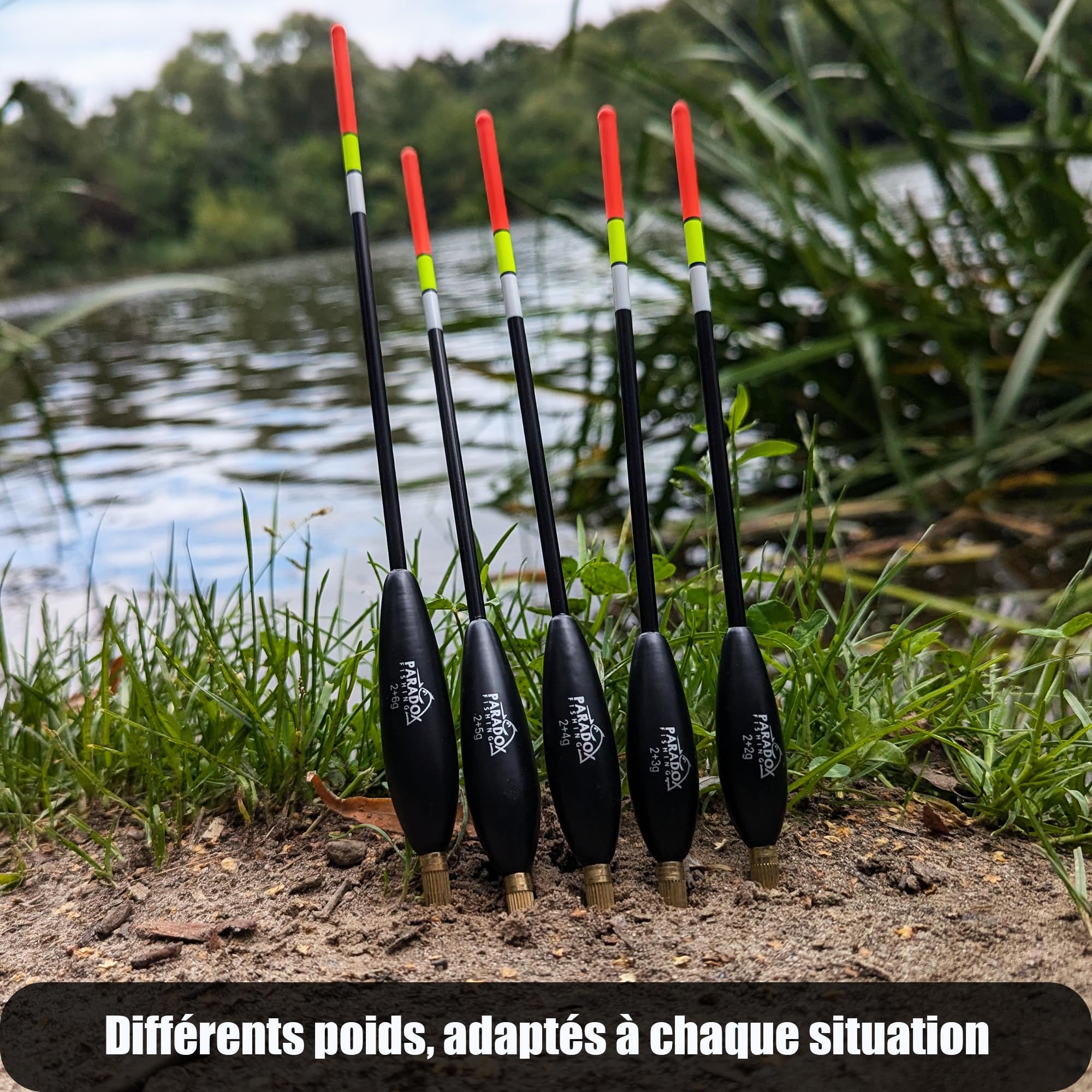 Paradox Fishing Lot de 5 flotteurs de pêche 2g 4g 8g pré-blanchi