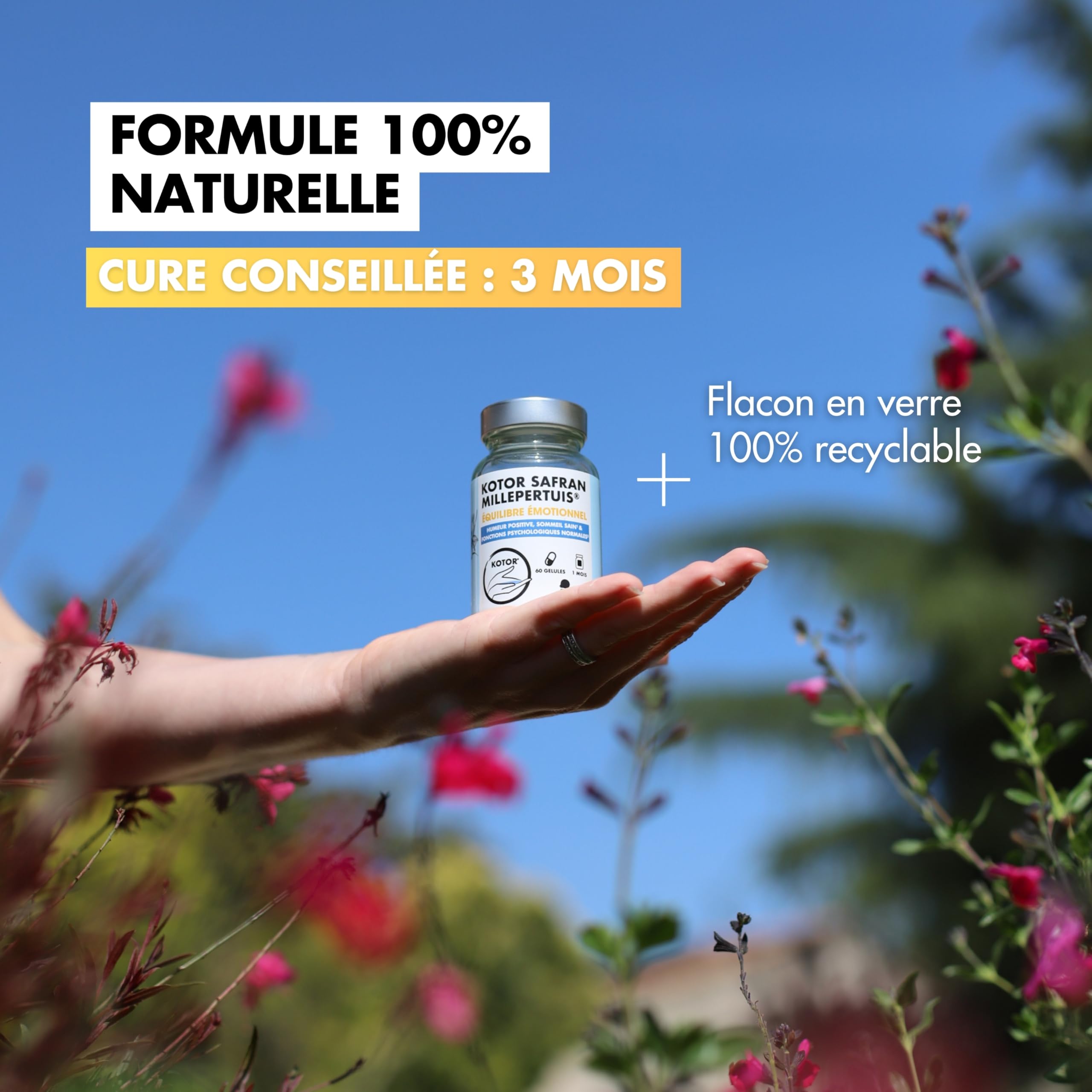 KOTOR SAFRAN MILLEPERTUIS | Anti Déprime, Baisse de Moral, Trouble de l’Humeur | Millepertuis + Safran + Magnésium Marin + Vitamine B12 & B9 | 60 Gélules | 1 Mois | Produit en France