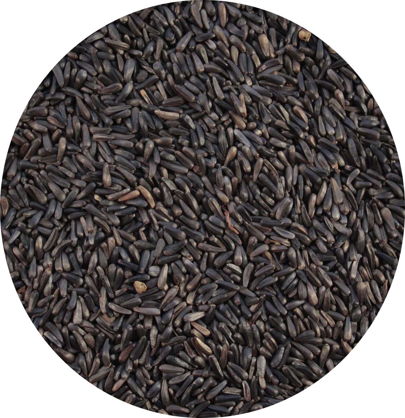 Niger Seed Nyger Feed 10kg 5kg 3kg 2kg 1kg 500g Thistle Seed Gold Finch Seed Wild Bird Food Feed (500g)