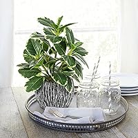 Vista 5 de Plantas artificiales para interiores y exteriores, planta de hoja de roble abigarrada sintética, plantas falsas en maceta, decoración artificial