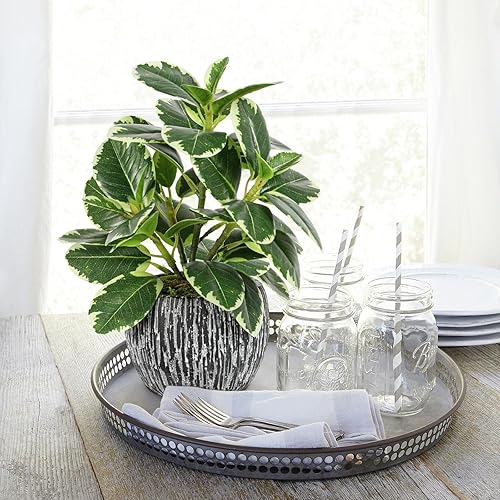 Miniatura 5 de Plantas artificiales para interiores y exteriores, planta de hoja de roble abigarrada sintética, plantas falsas en maceta, decoración artificial