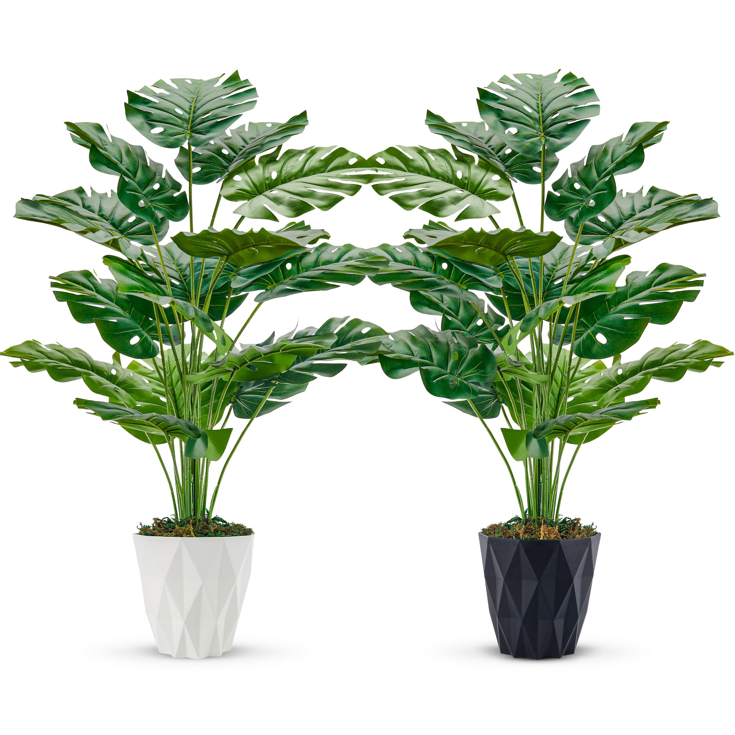 Der Rose 2 Stück Kunstpflanzen Groß Monstera Variegata Künstliche Pflanzen wie echt für Wohnzimmer, Zimmer, Balkon, Fußboden, Outdoor Deko
