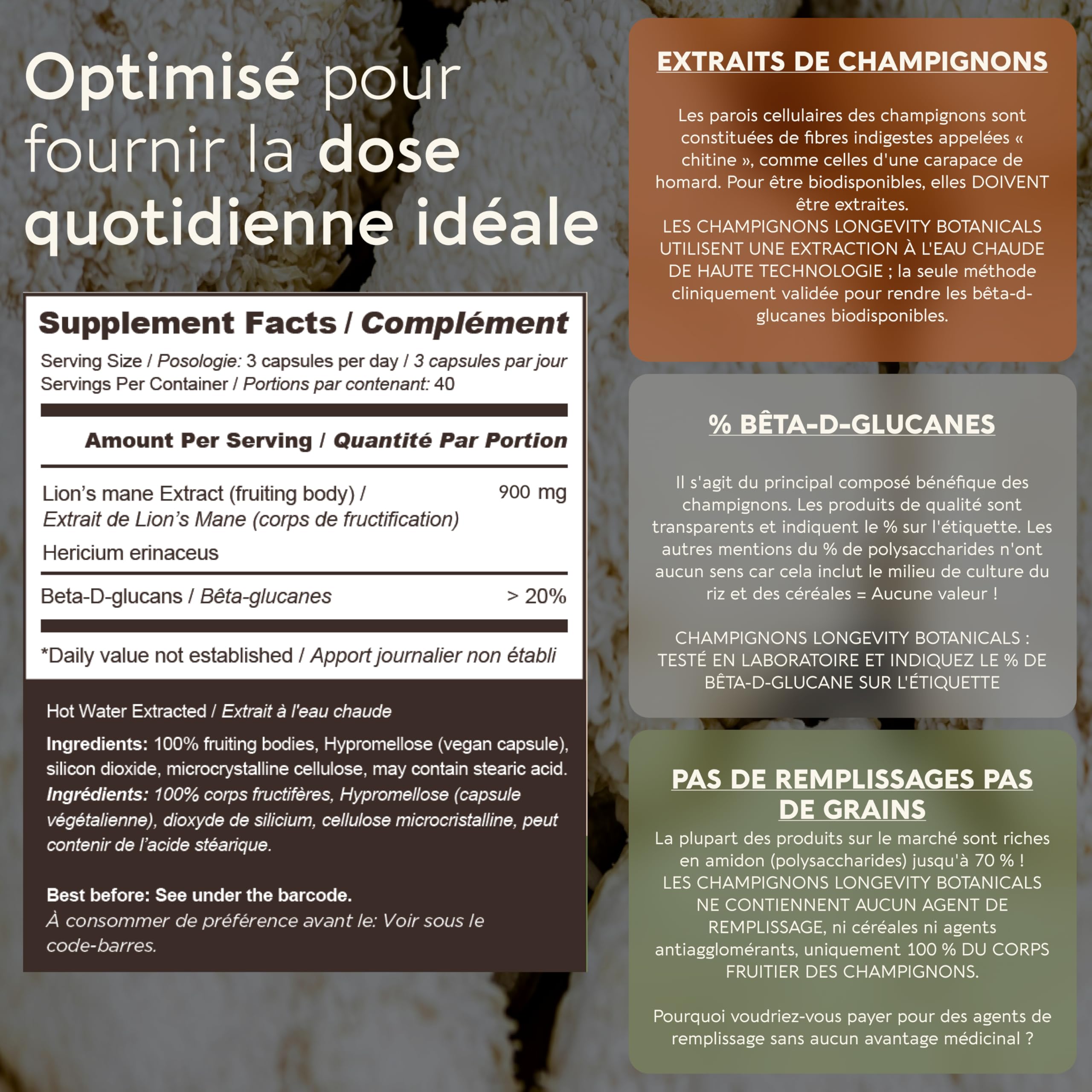 Gélules Crinière de Lion (Lion’s Mane) x120 | Extrait Puissant 8:1 de Champignon Corps Fructifère Pur | 20% Bêta-D Glucanes | Équivalent Brut 7200mg par Portion | Soutien Mémoire Intestin & Cerveau