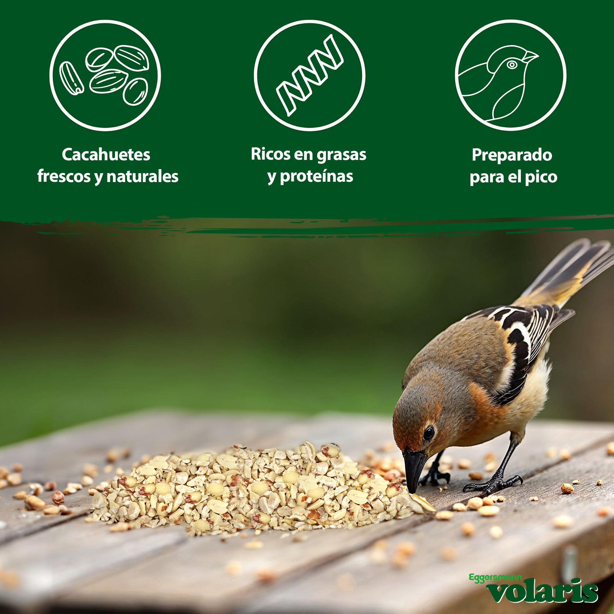 Eggersmann volaris Cacahuetes Picados 8 x 2 kg – Comida para Aves Silvestres con energía y proteínas – Núcleos de maní Picados Frescos y Naturales – Alimento para Aves Silvestres