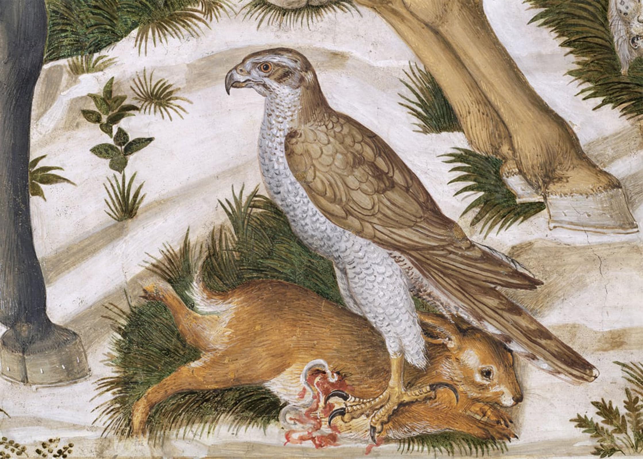 SERENDIPITP Abstract Painting Mural Print Picture Wall Decor Painting Falcon with Captured Animal by Benozzo Di Lese Di Sandro Gozzoli Vintage Wall Artwork for Home Decor 60x90cm
