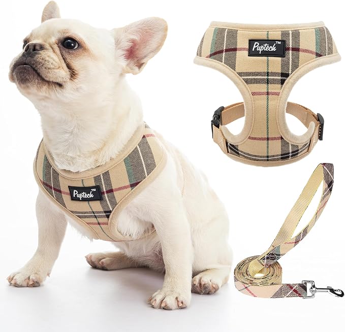 PUPTECK Soft Mesh Dog Harness and Leash Set L