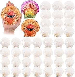 14 Beach Bedroom Ideas for Breezy Light Coastal Calm 129 50 Pcs Sea Shell for Crafting Natural Large Scallop White Oyster Shells ...