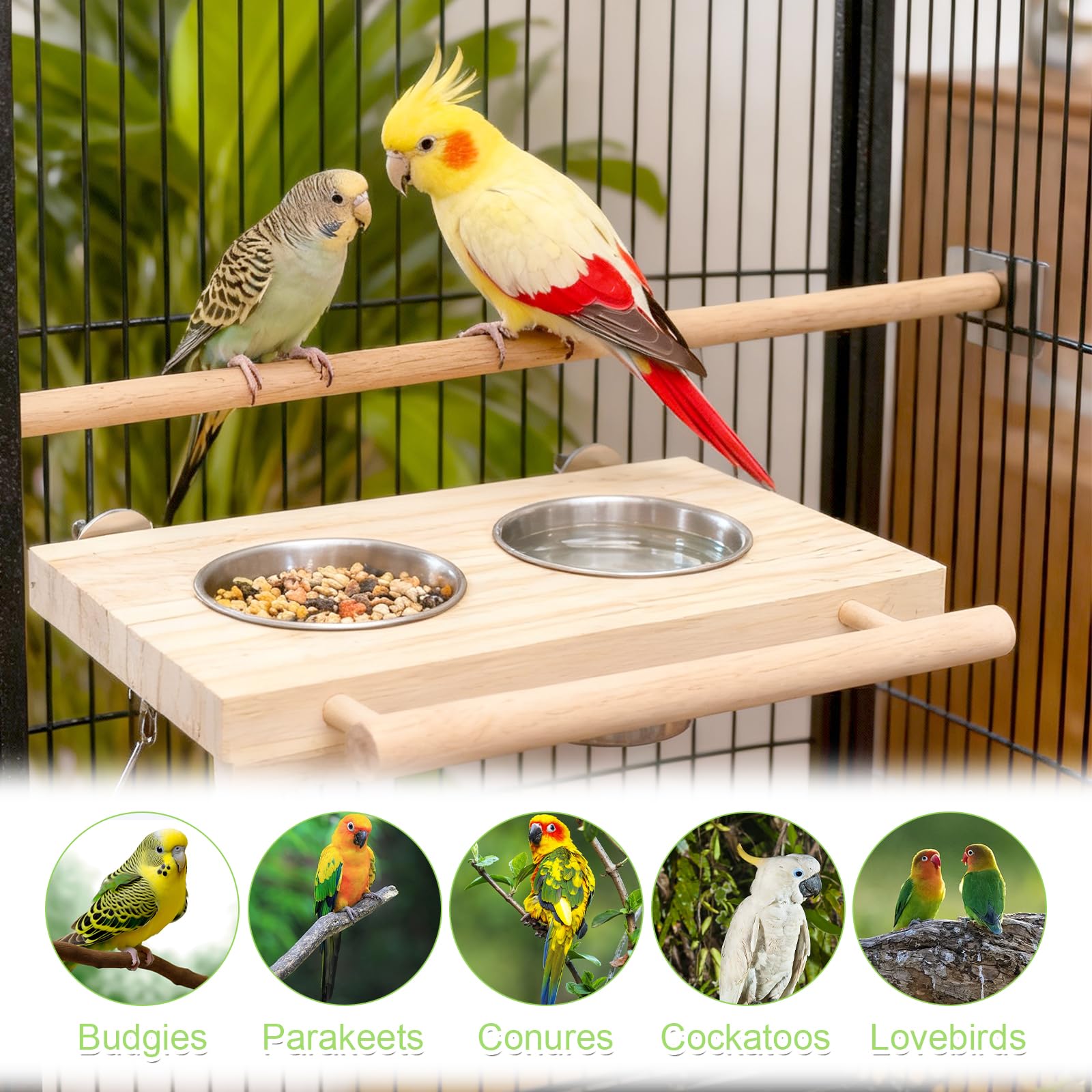 VOSSOT Bol d'alimentation pour Oiseaux Mangeoire Perroquet en Acier Inoxydable, Oiseaux Perches Jouets pour Oiseauxs à Marcher Bois Perchoirs Décoration des Cages à Oiseauxs Perruche et Perroquet