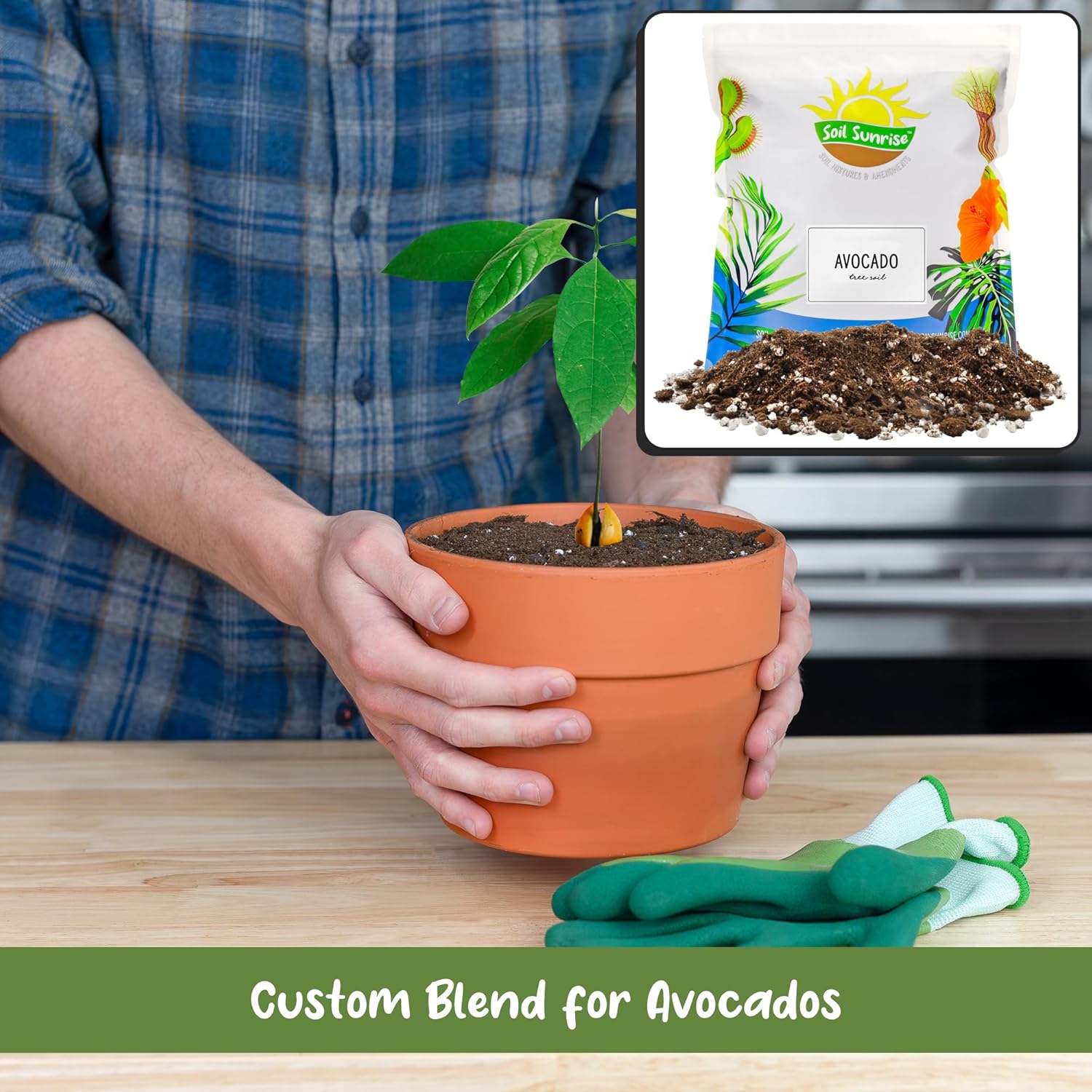 Soil Sunrise Avocado Tree Potting Soil Mix (12 Quarts) for Germinating, Growing and Repotting Avocado Plants