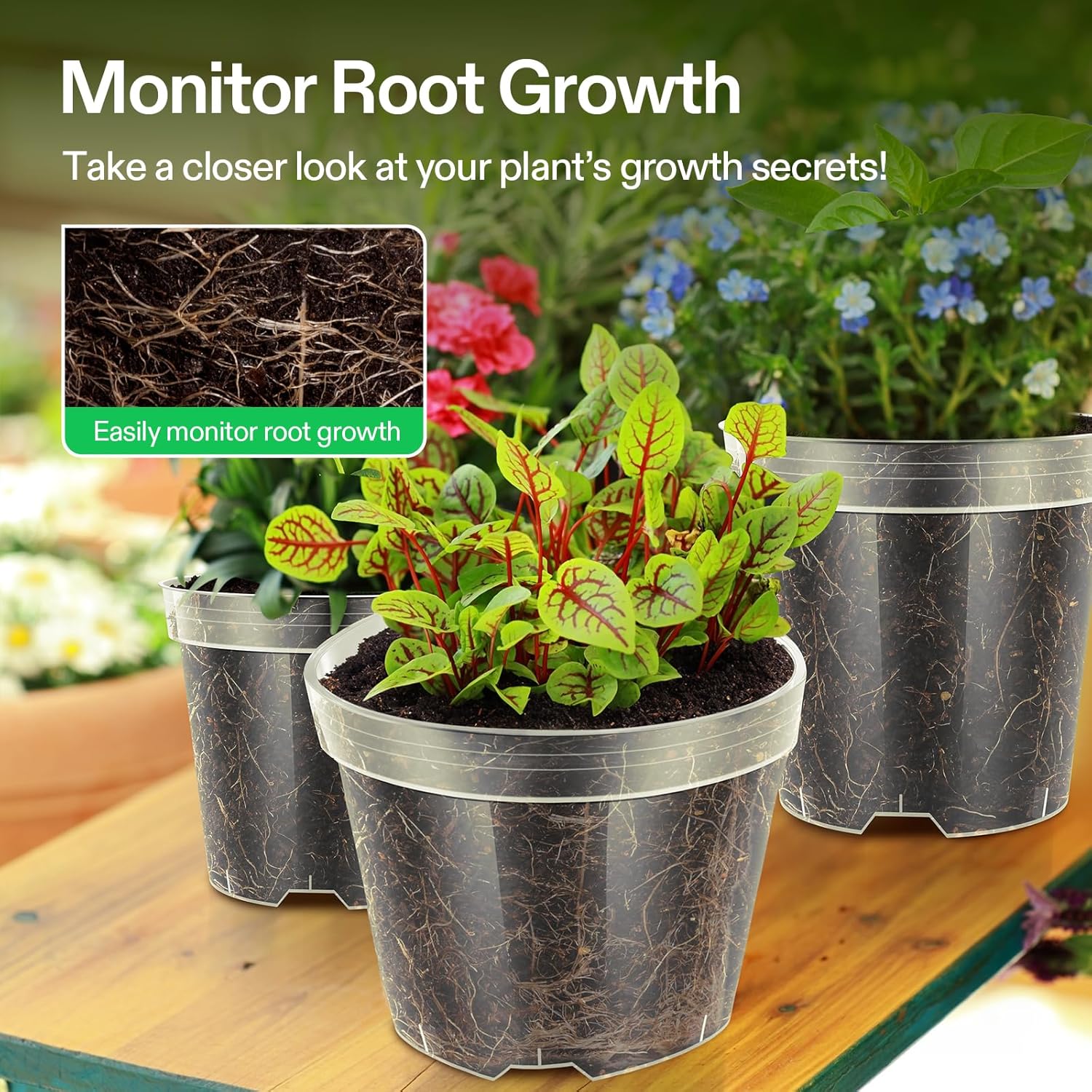 VIVOSUN 72 Packs 4/5/6 Inch Clear Nursery Pots with Drainage Holes, Reinforced Plastic Seedling Pots for Plants, Flowers, Cuttings, and Succulents, 40 pcs Plant Labels