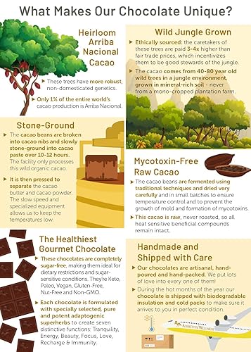 Miniatura 2 de Addictive Wellness Chocolate crudo FOCUS sin azúcar, paquete de 12 unidades, vegano y paleo, superalimentos y superhierbas puramente