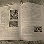 Working The Roots: Over 400 Years of Traditional African American ...