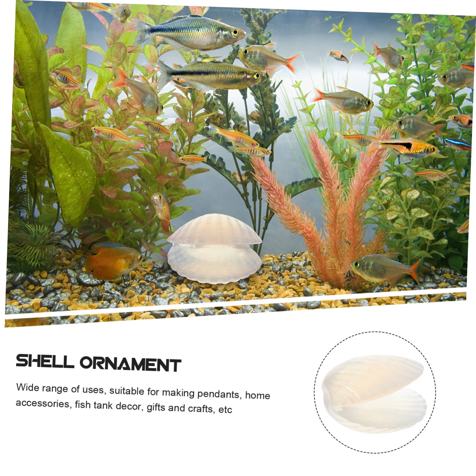 FRCOLOR Natural Seashell Aquarium Decoration Shell Ornament for Fish Tanks Versatile Home Decor for Aquariums Craft Projects Lightweight Portable Shells for Creative Arrangements : Pet Supplies