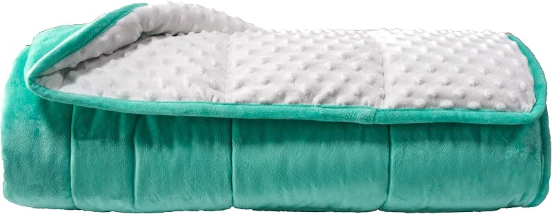 Manta con peso reversible para todas las estaciones, terciopelo de lujo, cálida y fresca, manta con peso verde para adultos de 20 libras, disfrute durmiendo en cualquier lugar (verde claro, 60 x 80 pulgadas, 20 libras)