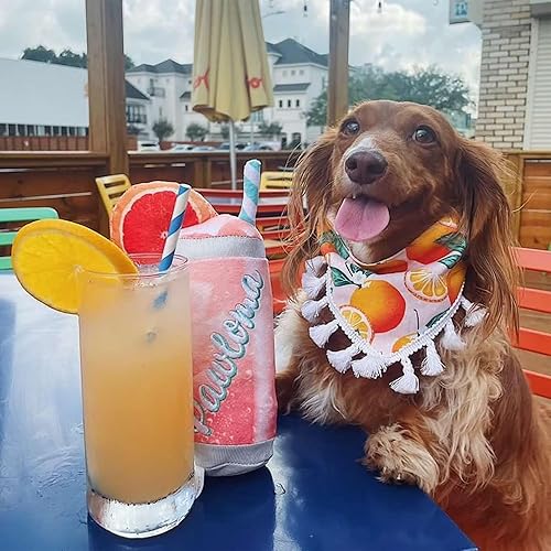 Miniatura 6 de Haute Diggity Dog Muttails Collection - Juguetes divertidos para perros de felpa suave con chirriante y diversión, coloridos y únicos diseños de