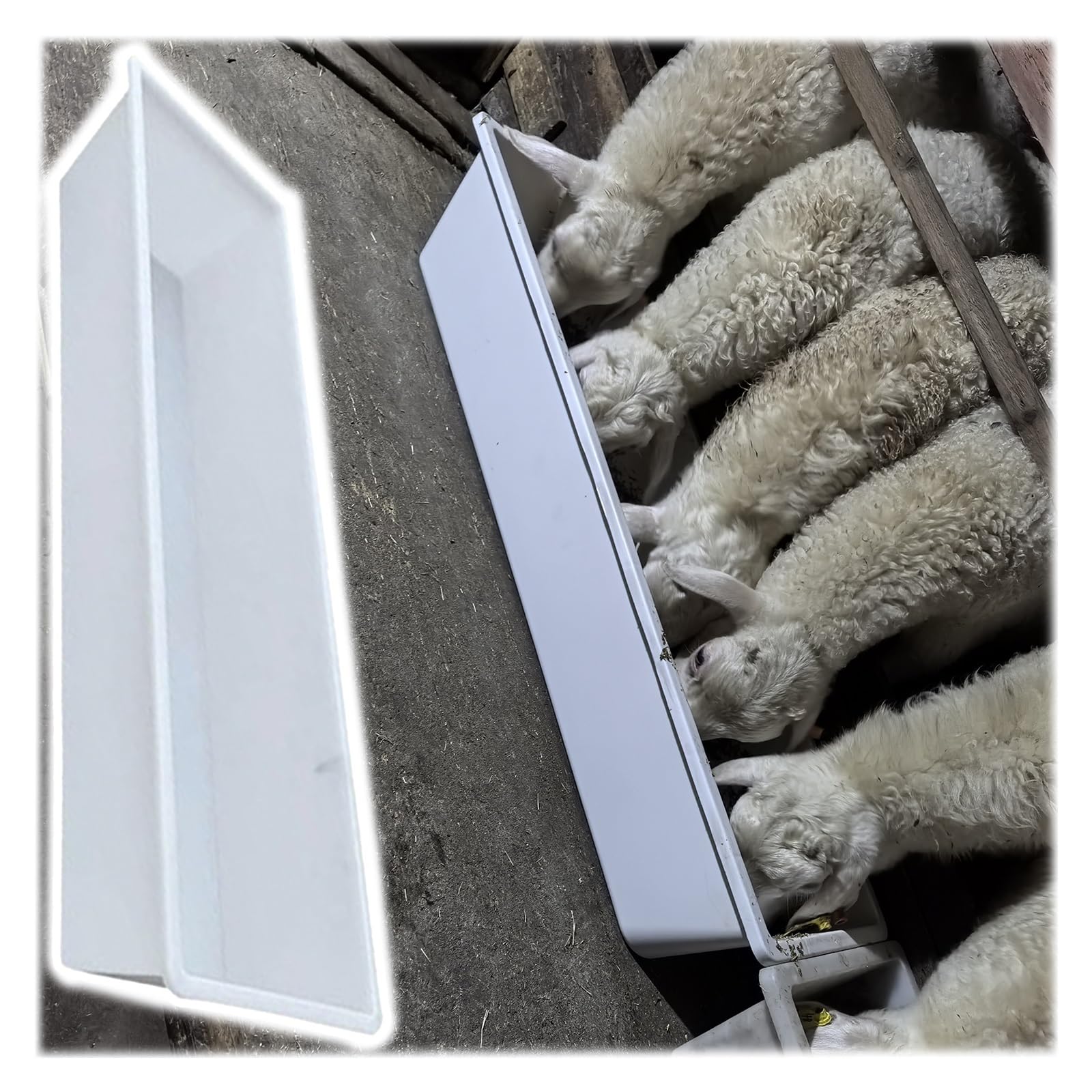 Mangiatoia, mangiatoia e abbeveratoio per Bestiame Resistente - Secchio in plastica Durevole per capre, bovini, Ovini e suini - Ideale per l'alimentazione di Animali da pascolo in Fattoria,