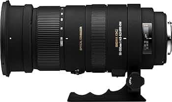 Canon 1DMarklll、SIGMA50~500mm望遠レンズセット作例有 Canon 1DMarklll、SIGMA50~500mm望遠レンズセット作例有