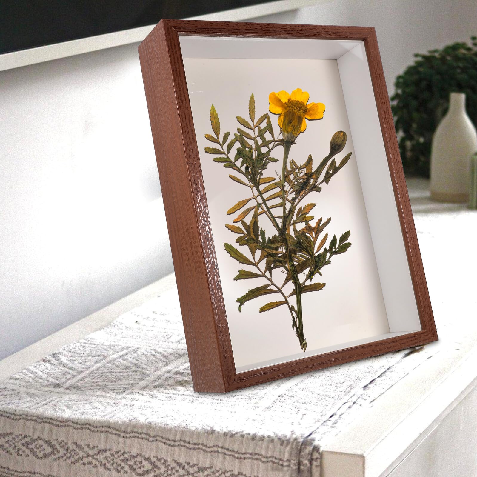 Generico Cornice Espositiva in Legno A4 per Fiori Secchi Vetro Trasparente, Cornice Decorativa Fai da Te per Foto, Vetrina Artistica per Arredamento Casa e Ufficio