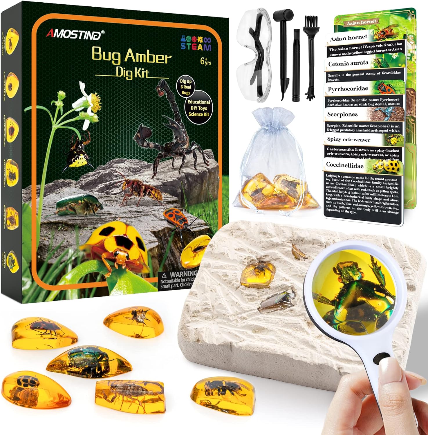 Amber Gemstone Dig Kit，Educational Science Kits for Kids Age 6 7 8 9 10
