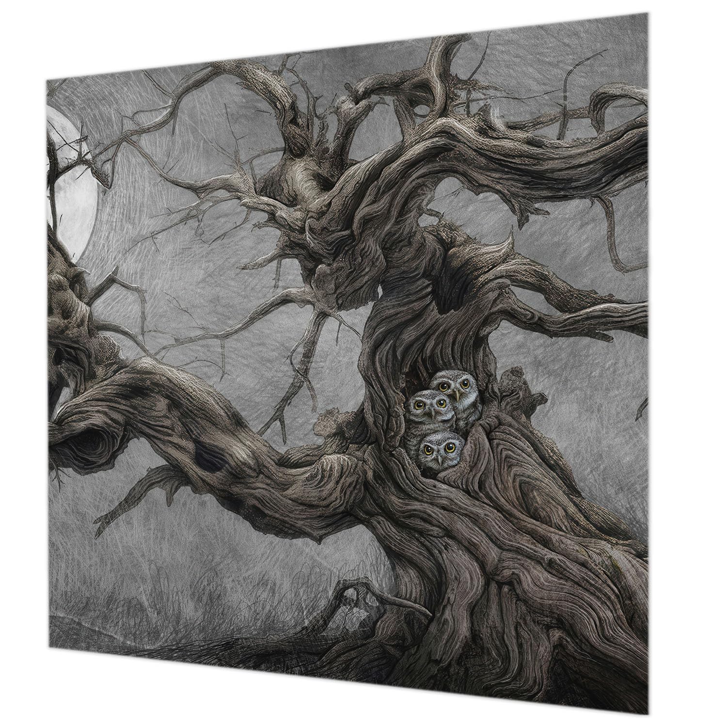 Papier peint intissé 250x250 cm hibou mystérieux décoration murale salon facile à poser
