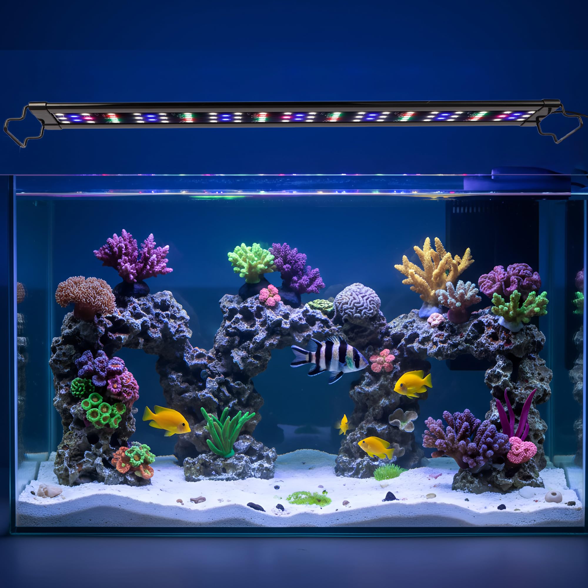 View 9