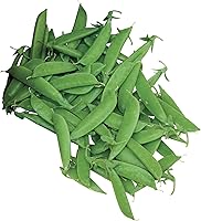 Burpee Super Sugar Snap Pea Seeds - 300 Premium Seeds, Sweeter Than Sugar Snap, Eat Pod & All, 64-Day Harvest