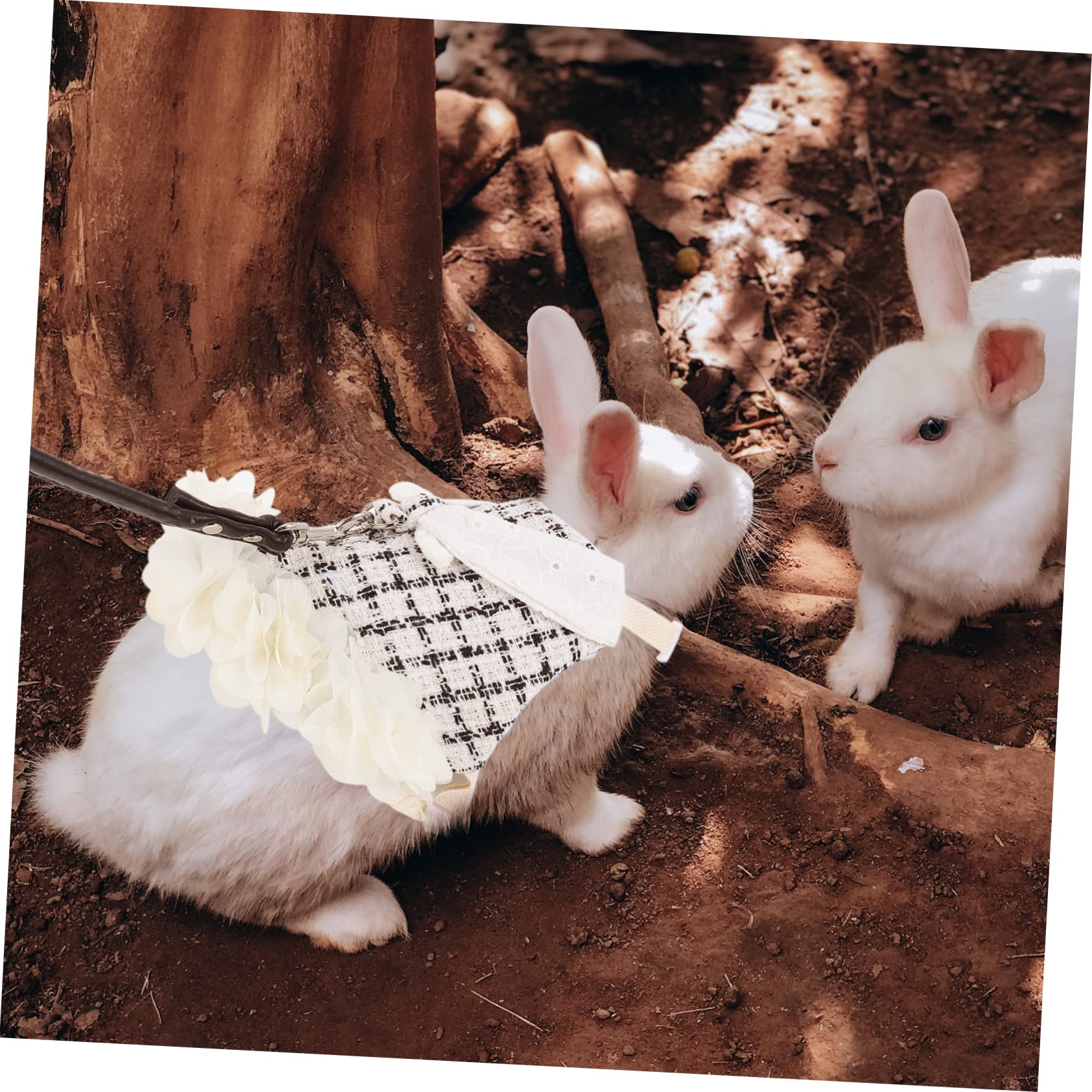 ABOOFAN 3sätze Dekoratives Bunny Geschirr Mit Leine Für Haustiere Niedliches Outfit Für Kaninchen Für Feiertage Und Outdoor-aktivitäten Aus Leichtem Waschbarem Material
