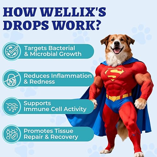 Miniatura 5 de Wellix Antibióticos naturales de 4.1 fl oz para gatos y perros, suplemento herbario natural para el cuidado de heridas, infecciones urinarias,