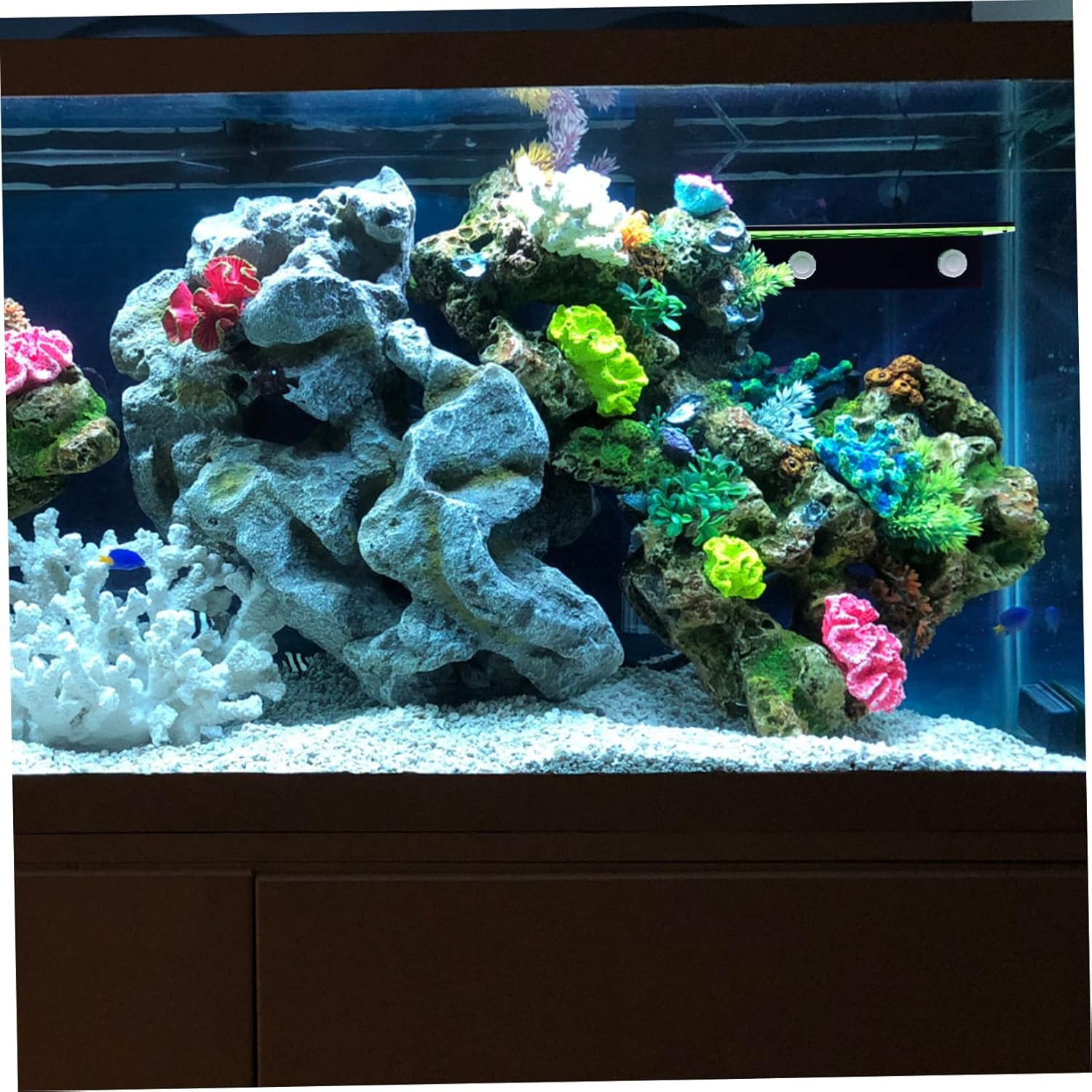Coral Rack Holder Wear-Resistant Aquarium Accessory for Corals Decorative Stand for Fish Tank Frags and Reef Tank Decor