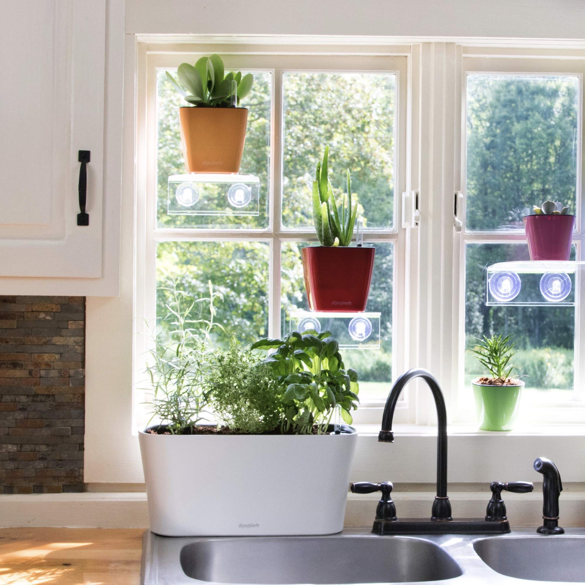 Window Garden Aquaphoric Herb Garden Tub Self Watering Planter Box