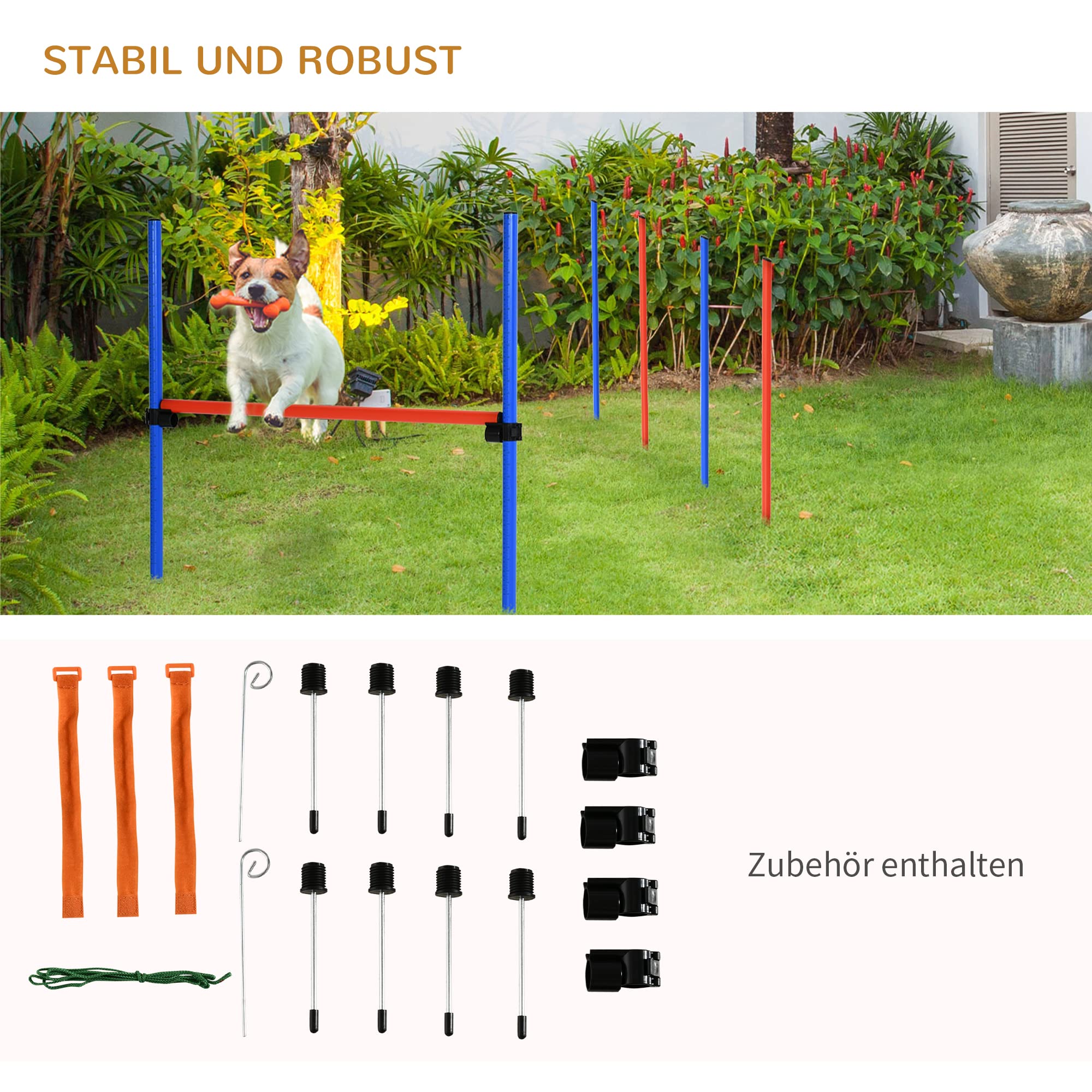PawHut Agility-Übungs-Set Slalom-Hürden-Sprungring 3 in 1 Hundesport Trainingsplatz PE Blau+Rot