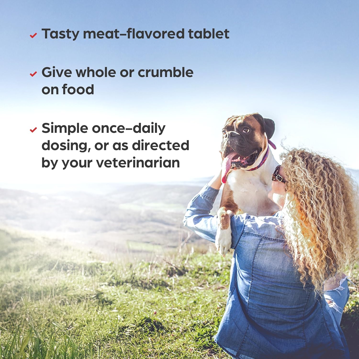 Iron & Vitamin Daily Supplement for Dogs, Meat-Flavored Chewable Tablets, 200 Count