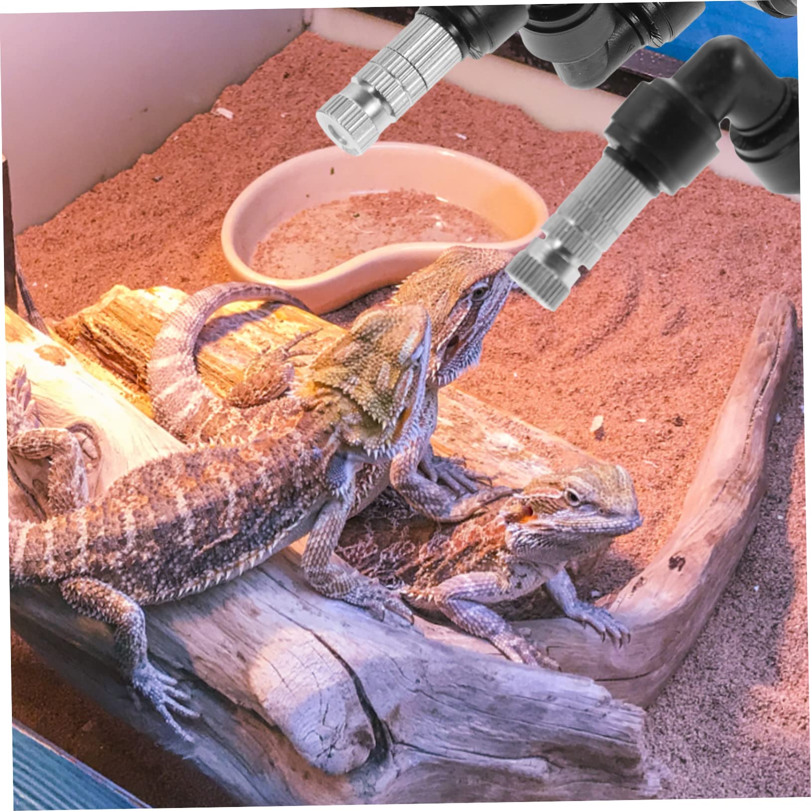 INOOMP 5piezas Rociador Para Terrarios De Reptiles Boquilla De Nebulización Cabezal De Spray Para Paisajismo De y Humidificador Para De Terrario