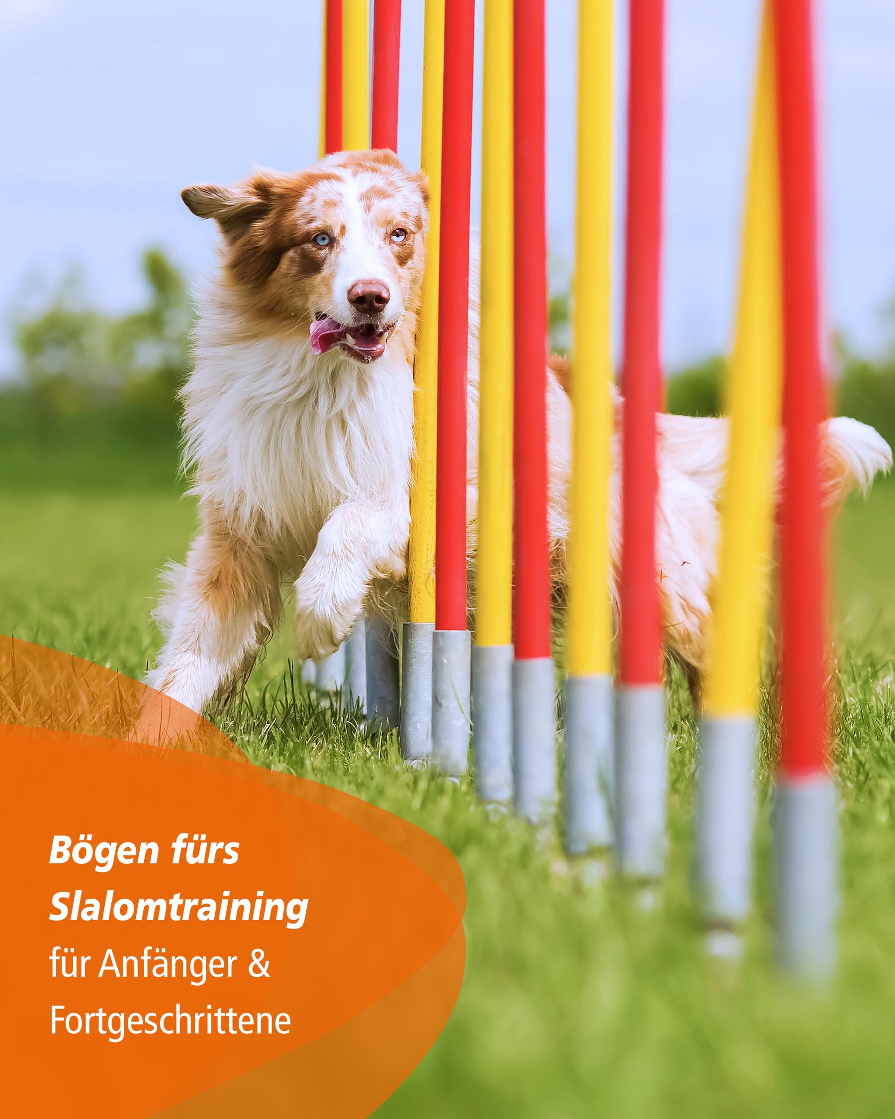 Archi da allenamento per agility, set da 10, per aste con diametro di 32 mm, allenamento slalom
