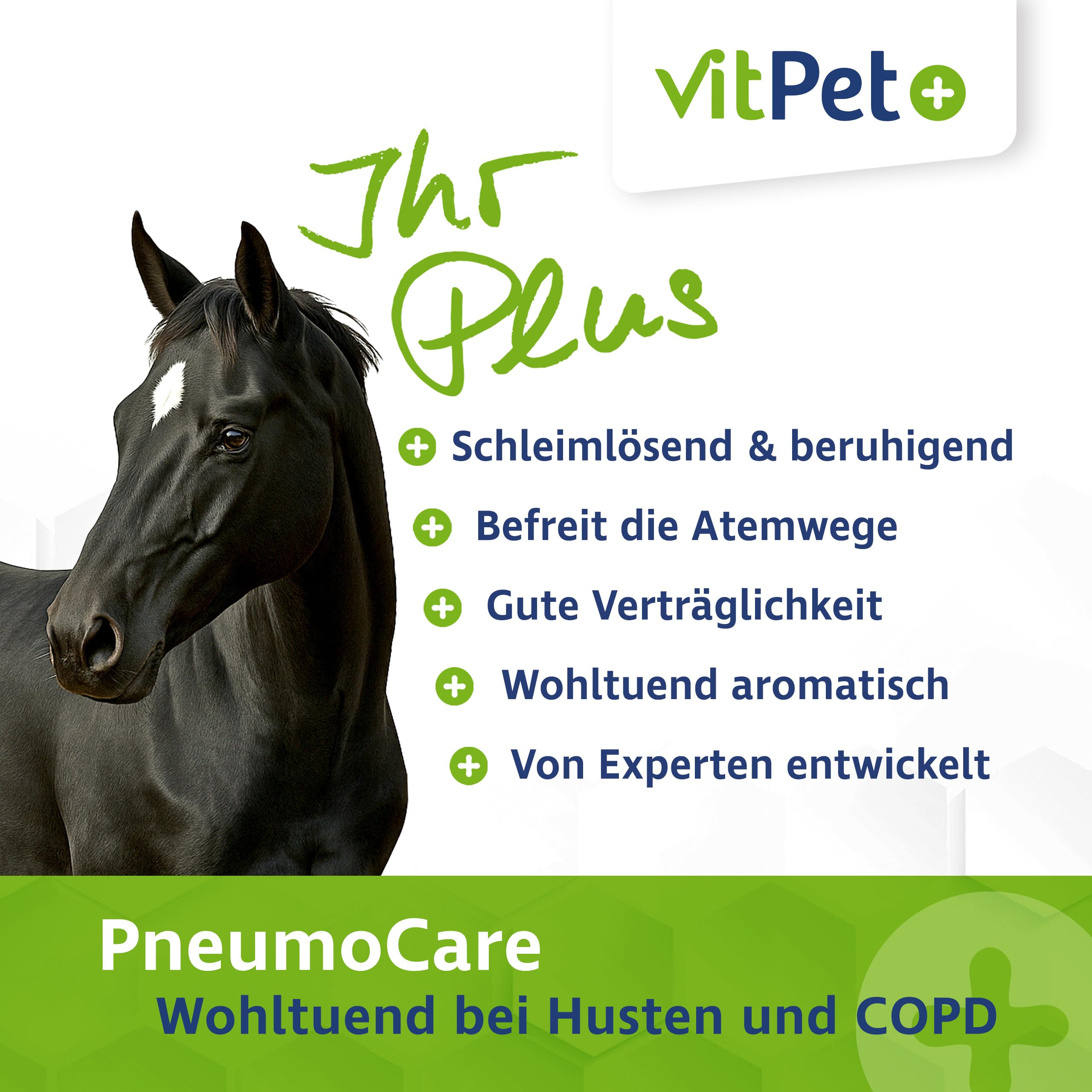 PneumoCare – Hustensaft für Pferde – 1000 ml – Bei Husten Pferd – Schleimlösend und beruhigend – Mit Eukalyptus, Thymian und Olivenblattextrakt – Unterstützt Bronchien und Immunsystem