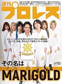 新日本プロレス　雑誌　17冊セット　おまけ付き 新日本プロレス 雑誌 17冊セット おまけ付き ベースボール