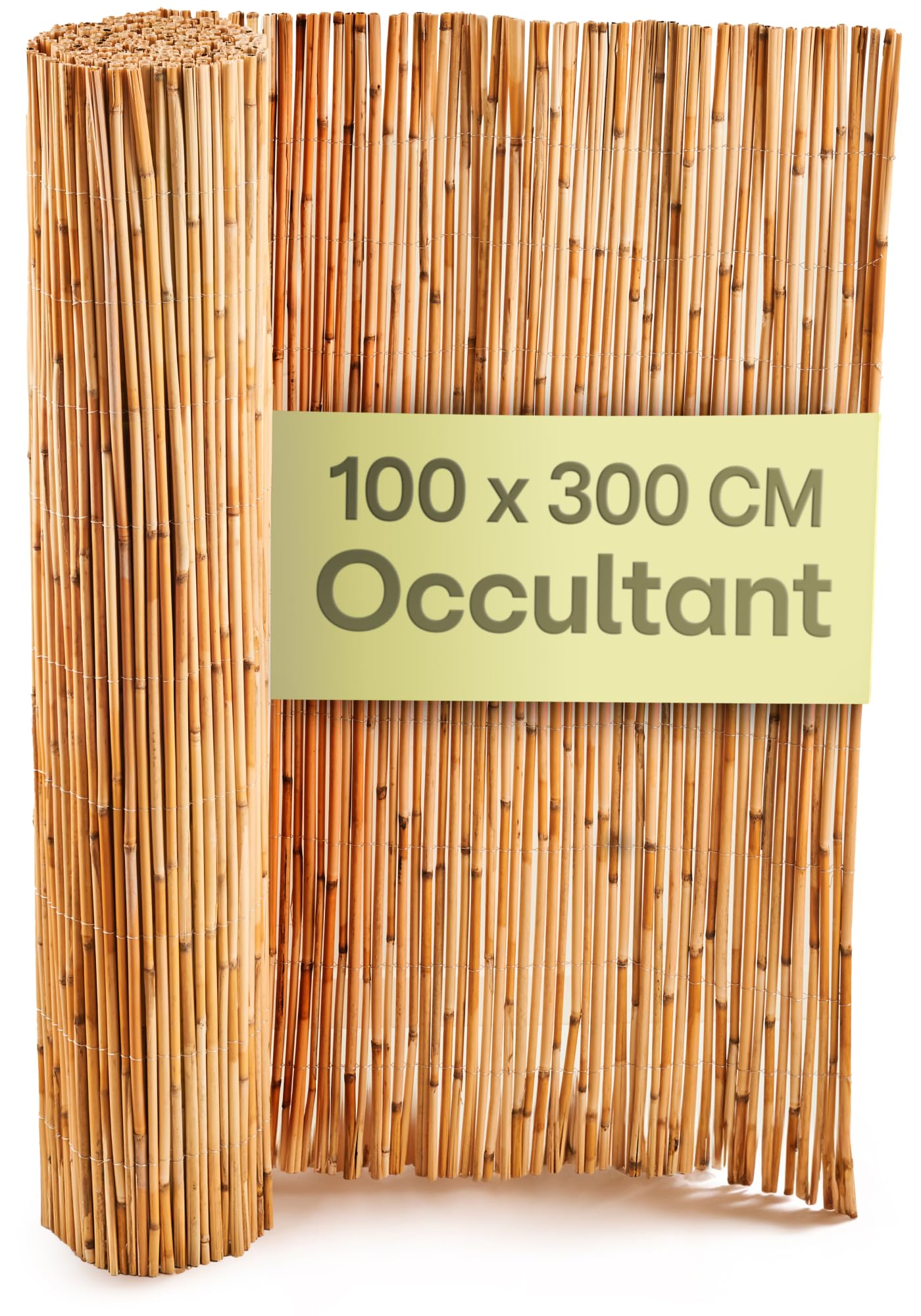 Canisse Roseau Naturel 1m x 3m FSC Certifié 100x300cm pour Balcon Jardin