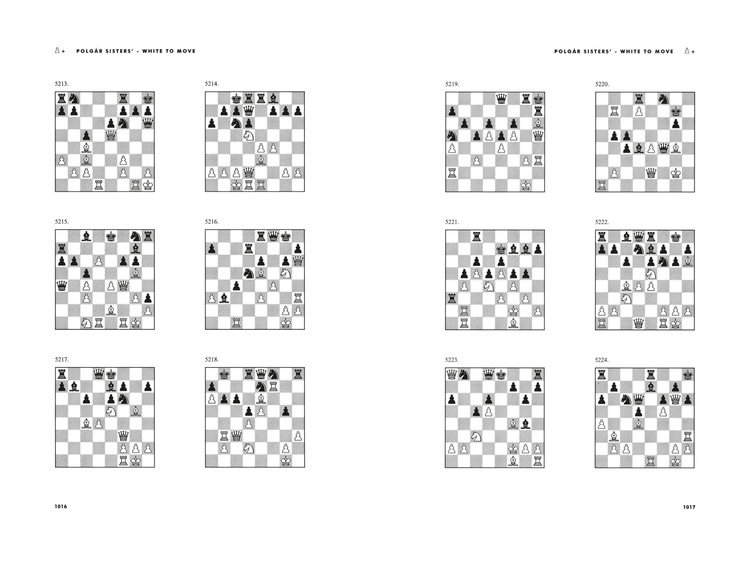 Chess: 5334 Problems, Combinations and Games