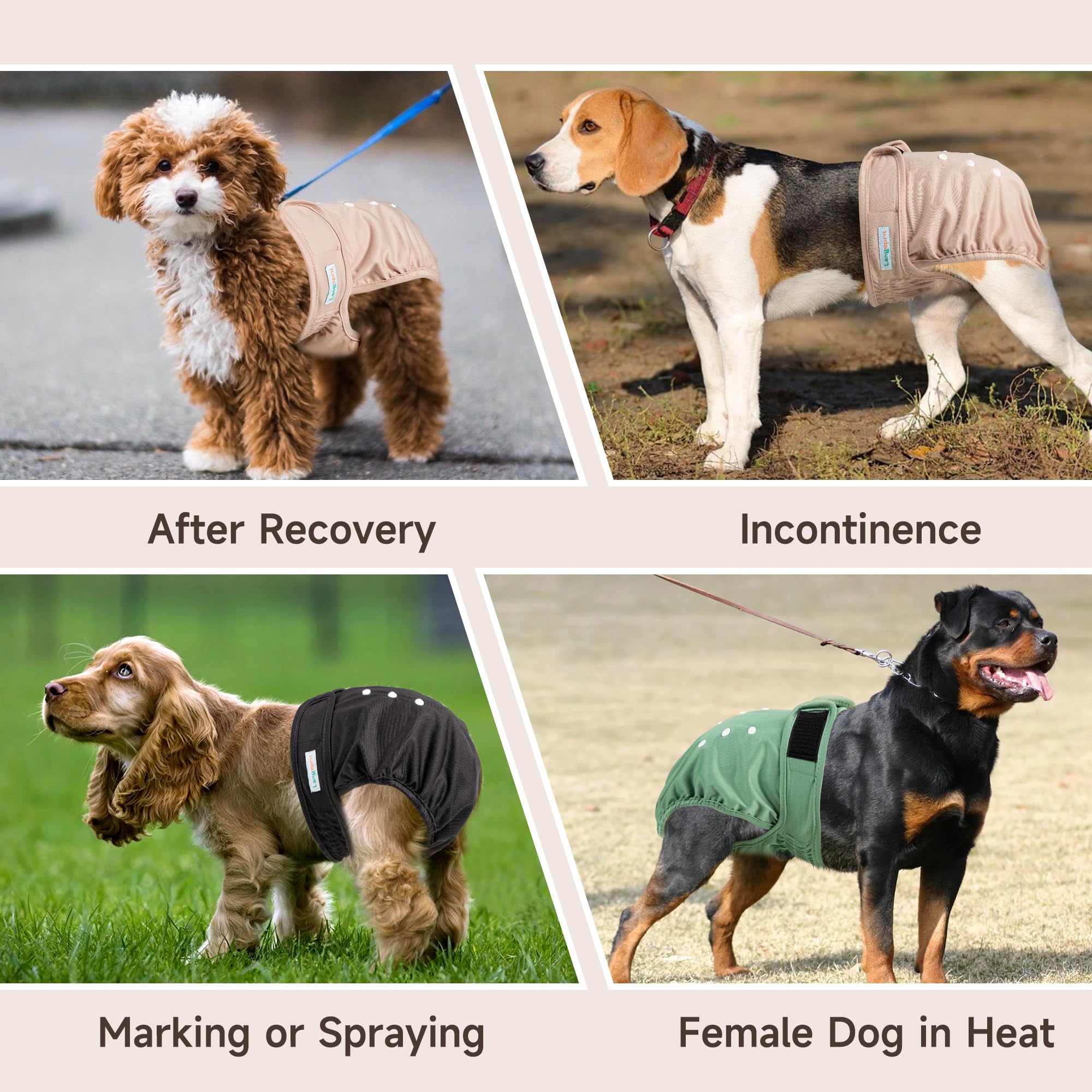 Amazon | Langsprit 雌犬おむつ 尾穴なし、再利用可能な子犬 フレンチ